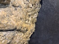 płaskorzeźba w kształcie maski, duża dekoracja na ścianę głowa, tynk dekoracyjny, oryginalna duża maska, beżowo-zlota maska na ścianę, maska 3d