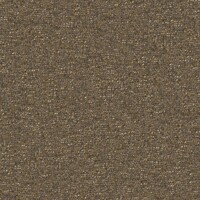 twinbru_Alaska_14-Rustic_eb6c3239f6cd488ebd804fc2cebfbef6_col
