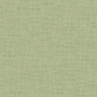 twinbru_Casual_24-Sage_0dd7d612f29d41bca3d7051e55d99fb1_col